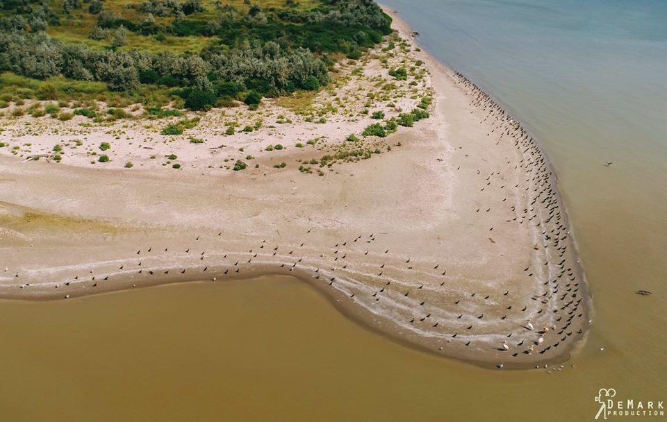 Отель База отдыха Приморье Приморское Экстерьер фото